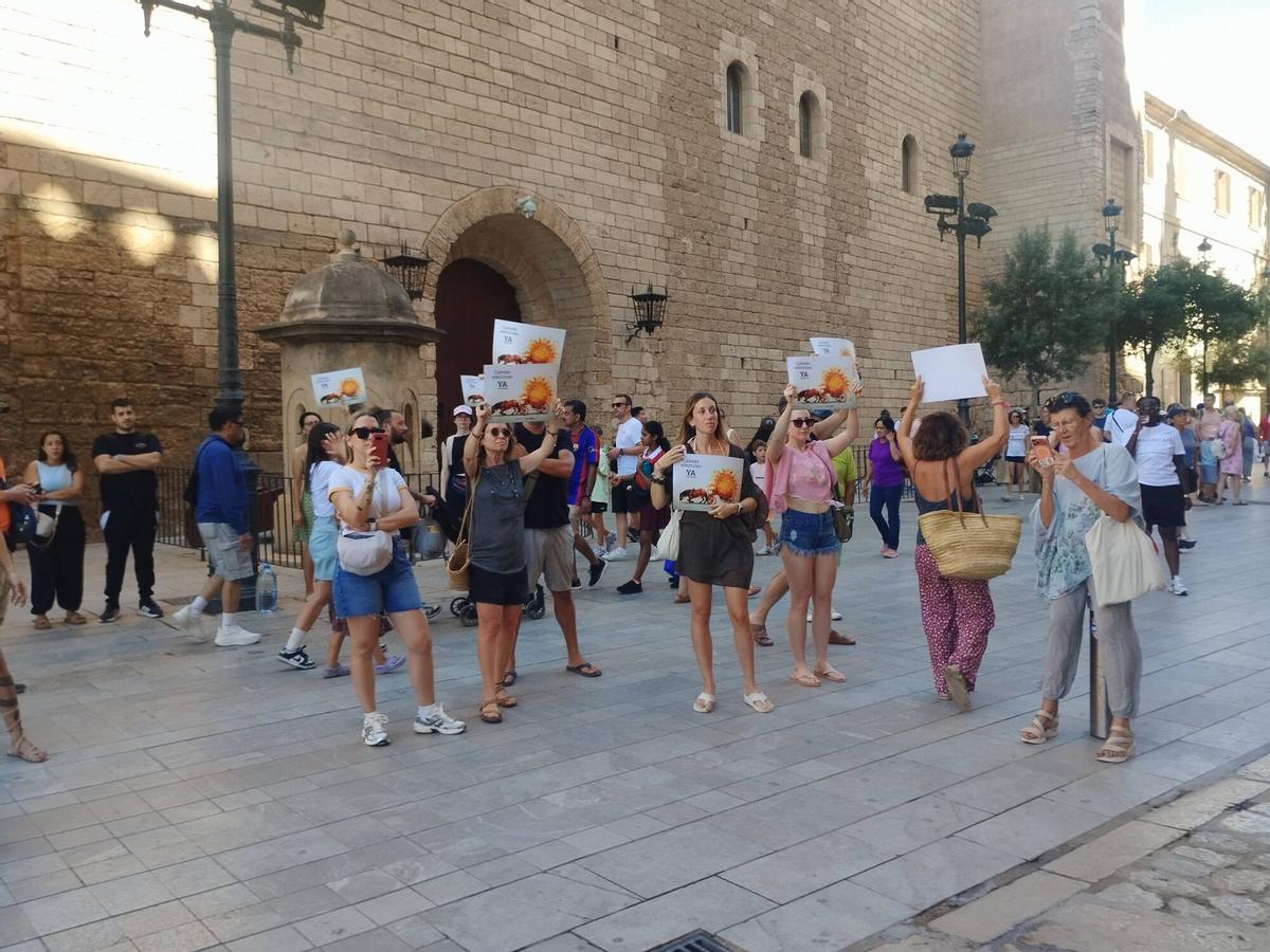 Imágenes de la protesta contra los caleseros