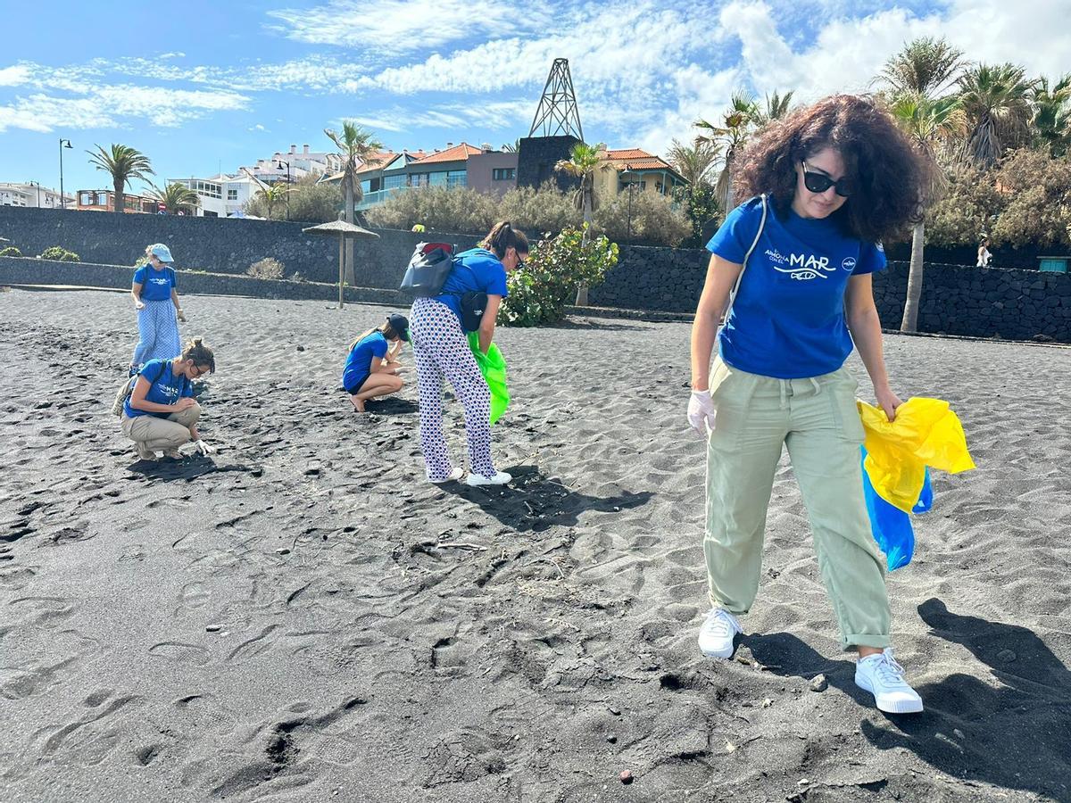 Limpieza de playa en Tenerife