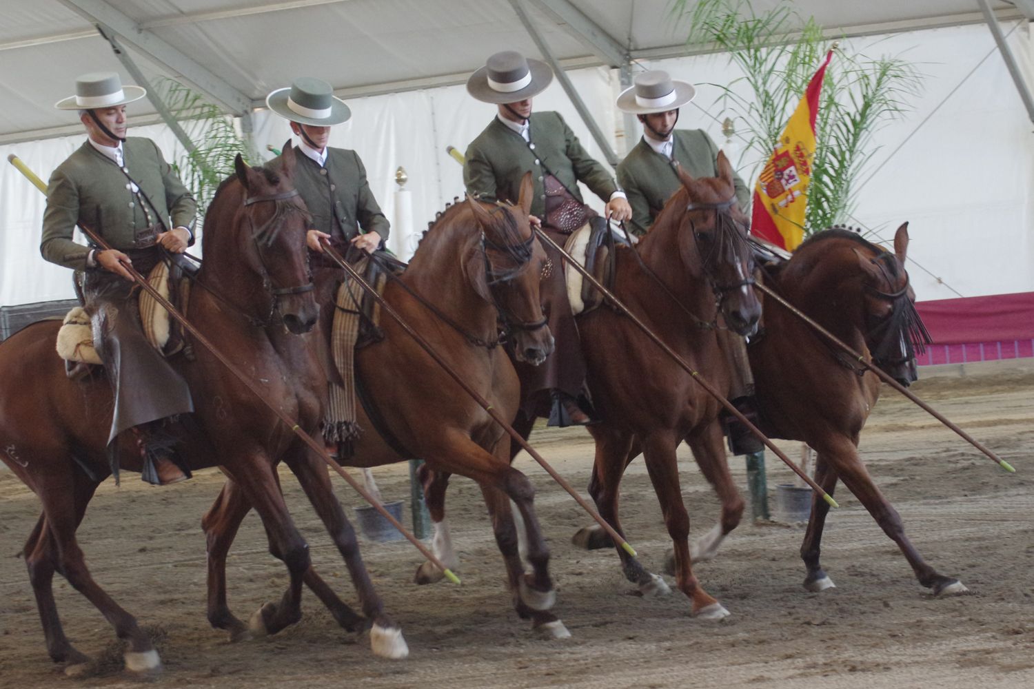 Feria de Málaga 2023 I El baile a caballo en el Centro de Exhibición Ecuestre del Real