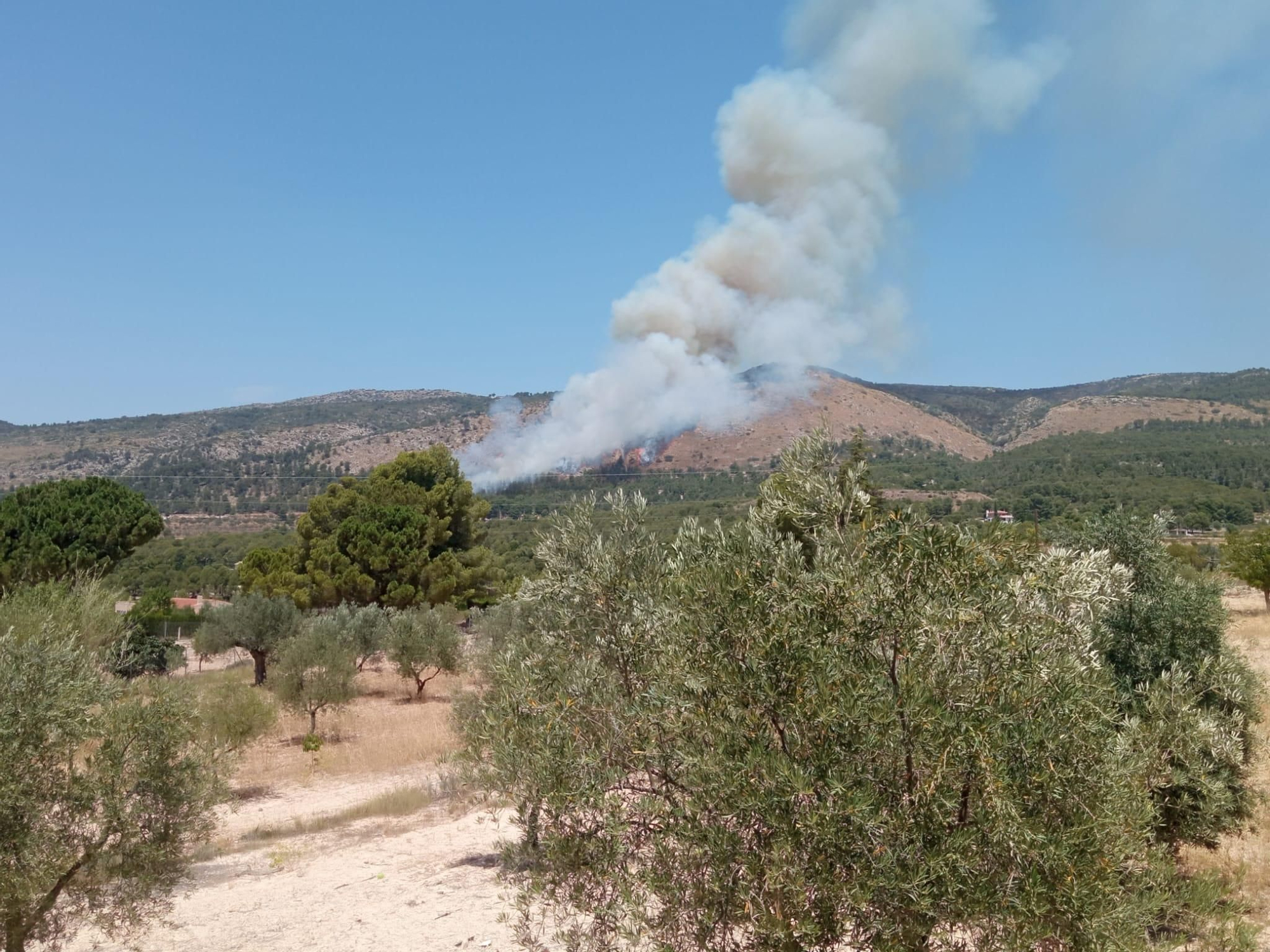 Incendio en el paraje de San Pascual en Ibi