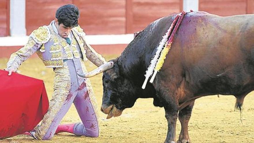 La imagen DEL MES Feria de las Mercedes