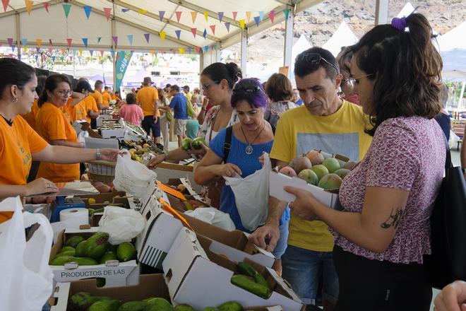 VI Feria del Mango y Aguacate de Verano de Mogán