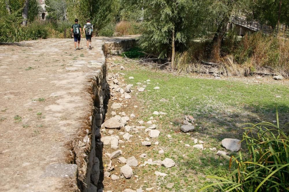 Sequía en Zamora: El Duero, bajo mínimos