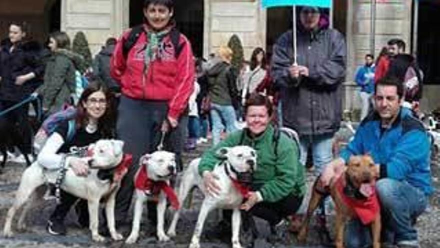 Caminata de solidaridad canina