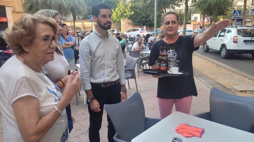 Castelló encarga un estudio para conocer el motivo de las molestias que causan los árboles de la plaza Juan XXIII