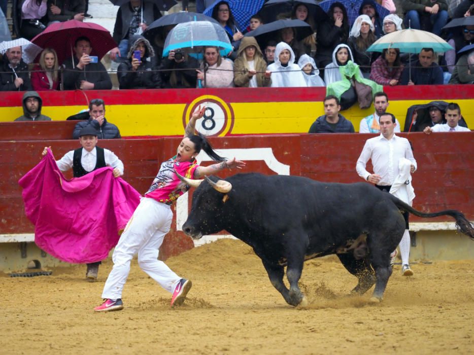 Concurso de recortadores "Recortador de Oro"