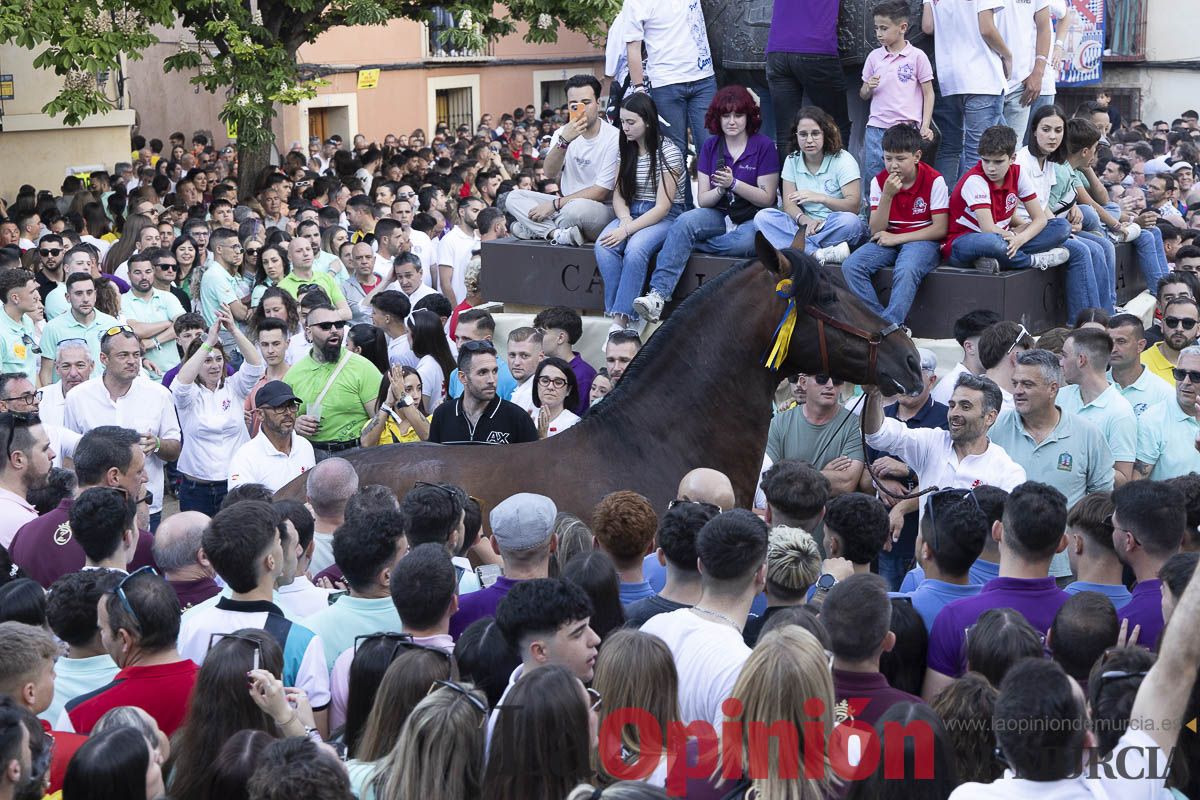 Fiestas de Caravaca | Entrega de premios del concurso morfológico