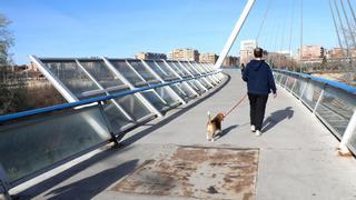 La pasarela del Voluntariado de Zaragoza 'enferma' de óxido