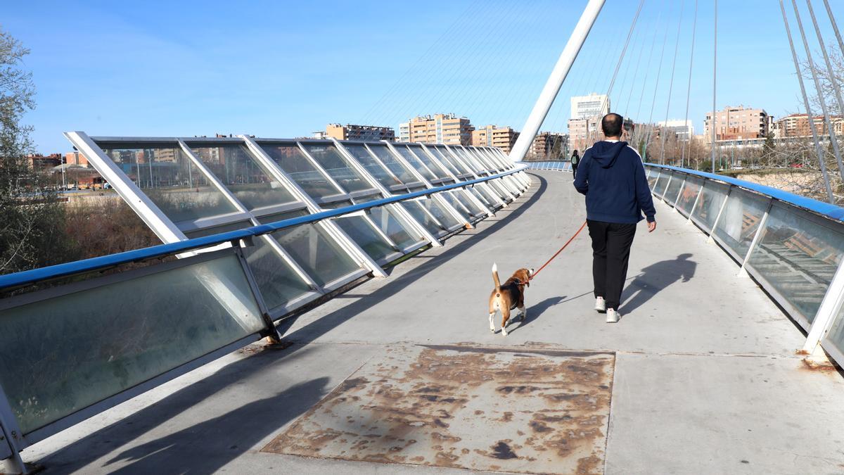 El lamentable estado de la pasarela del Voluntariado de Zaragoza