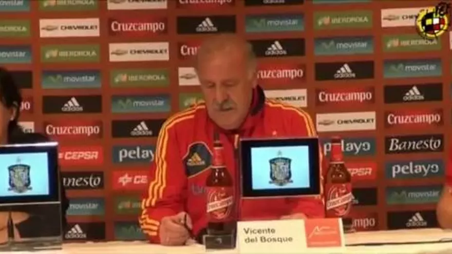 Soldado se queda sin ir a la Eurocopa