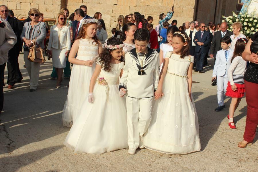 Romería de la Virgen de La Antigua en Fuentesaúco