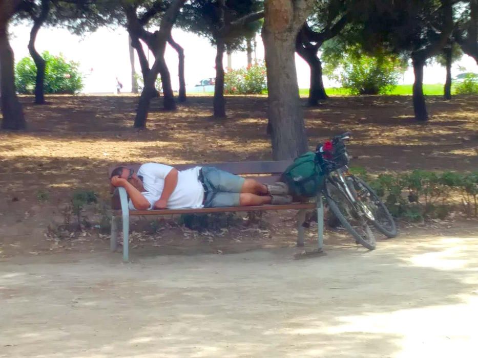 Tumbados bajo cualquier sombra en Palma en plena ola de calor