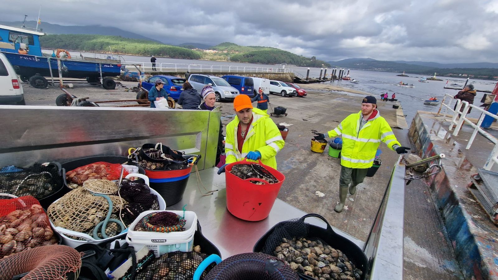 Así es el día a día en el puerto y la lonja de O Testal (Noia), donde cada vez se dan cita más mariscadores arousanos.