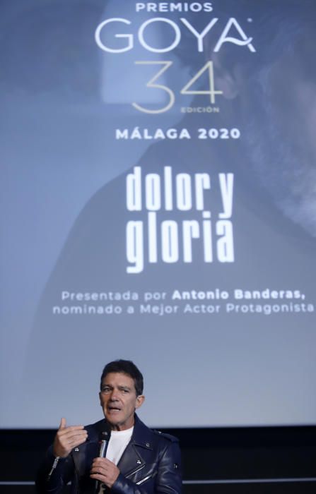 Antonio Banderas presenta 'Dolor y gloria' en Málaga tras ser nominado al Oscar