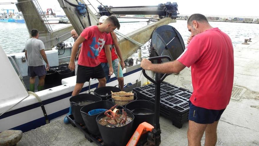 Pescadores descargan sus capturas en el puerto de Caleta de Vélez