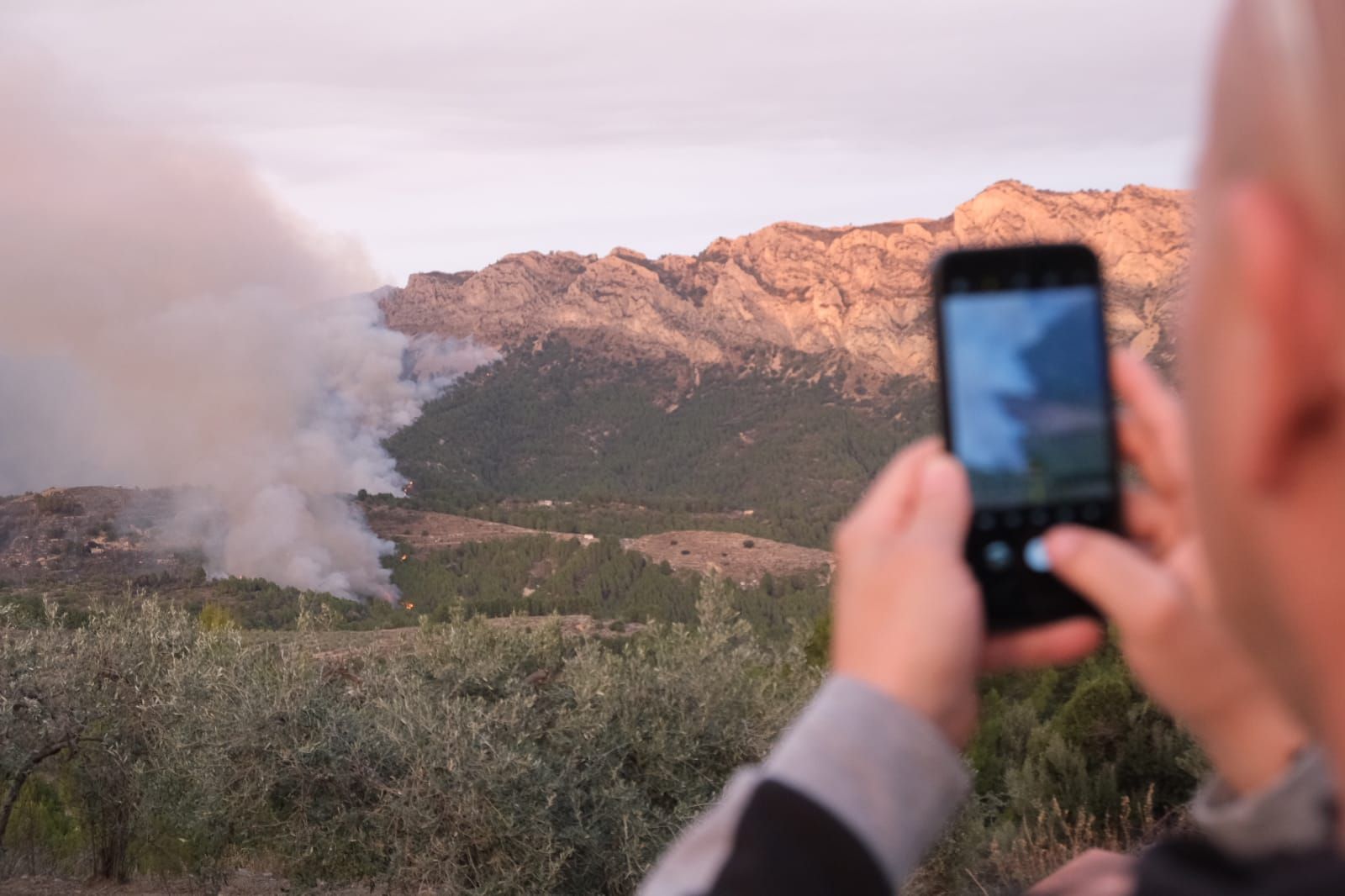 Las imágenes del incendio forestal declarado en Tàrbena