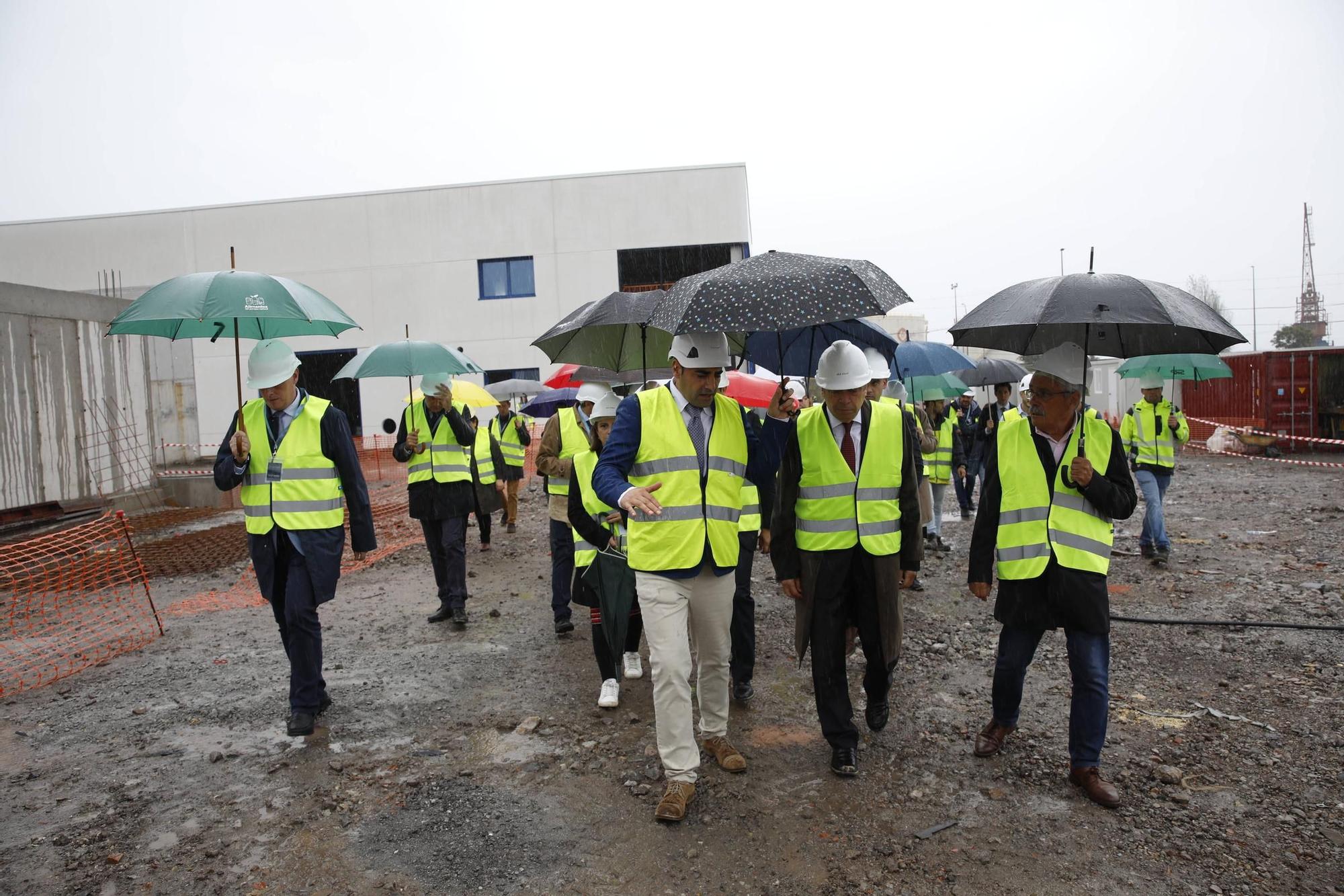 La visita del ministro Planas a la piscifactoría de lenguados en El Musel, en imágenes.