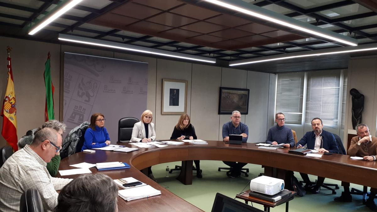Comisión de Patrimonio de la Junta en Zamora