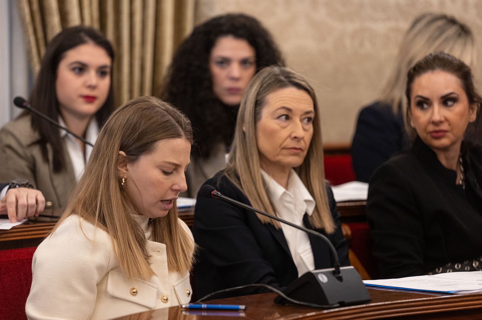 Pleno del Ayuntamiento de Allicante