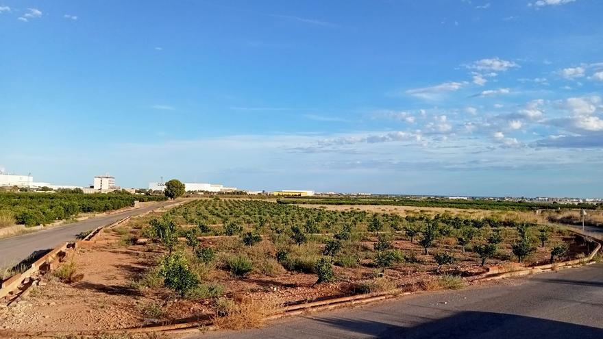 La Unió intensifica su ofensiva contra la macroplanta solar de la Plana Baixa y asegura que destrozará 570 parcelas