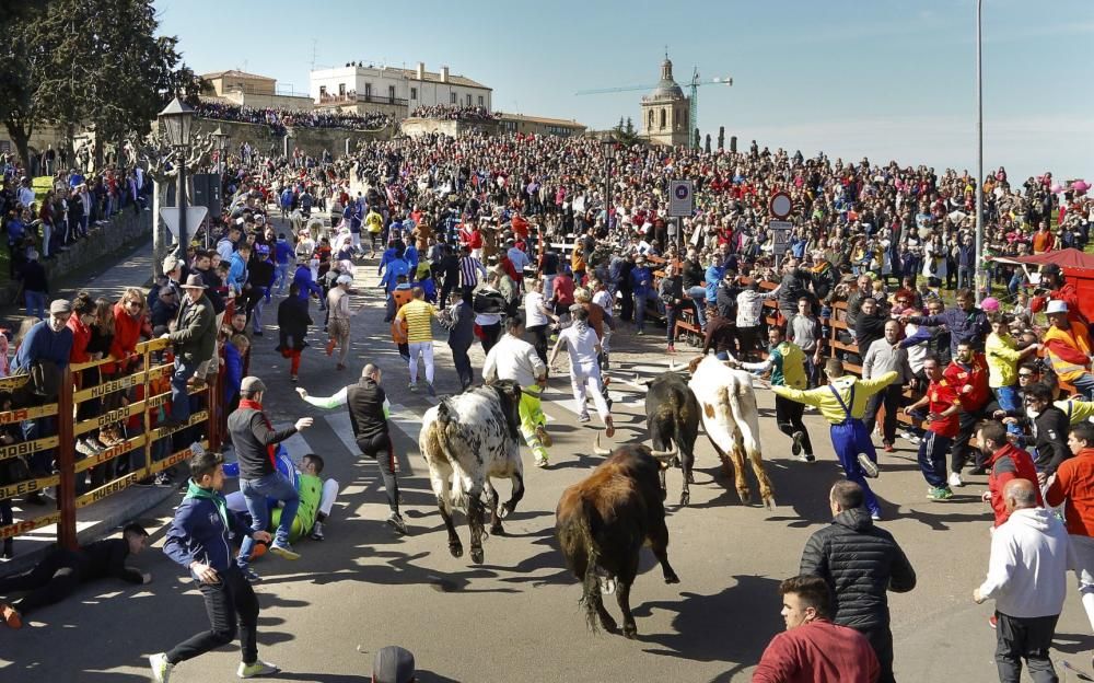 Carnaval del Toro de Ciudad Rodrigo