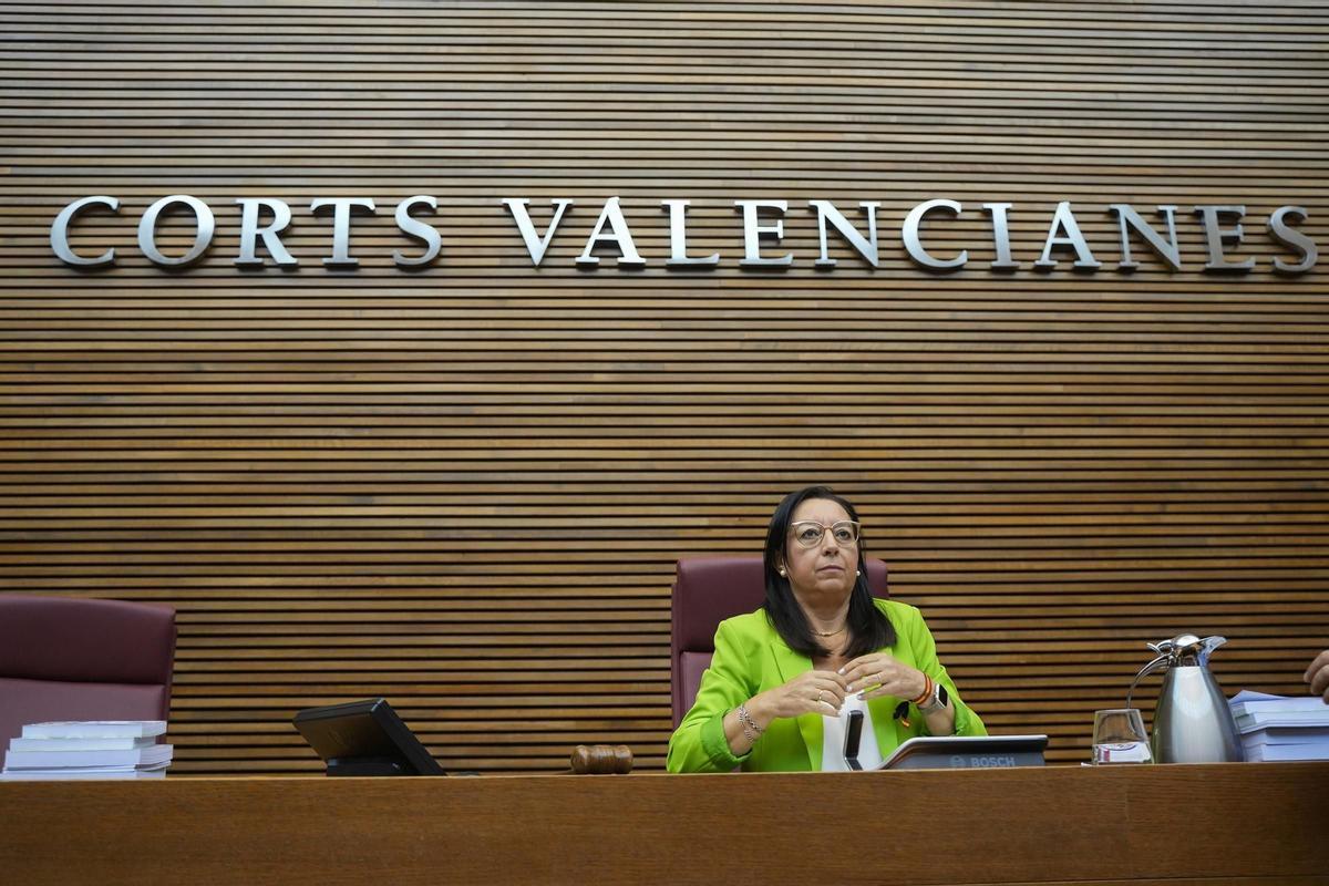 Llanos Massó, presidenta de las Corts.