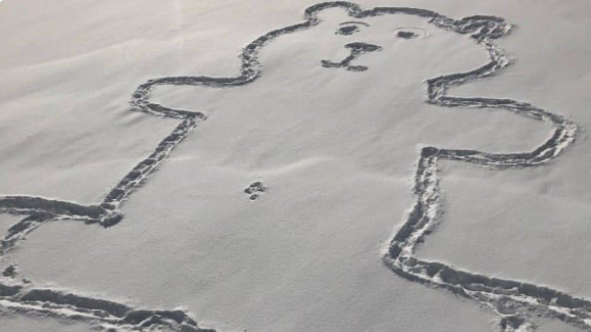 El dibujo del oso en la nieve que se ha hecho famoso en Canadá.