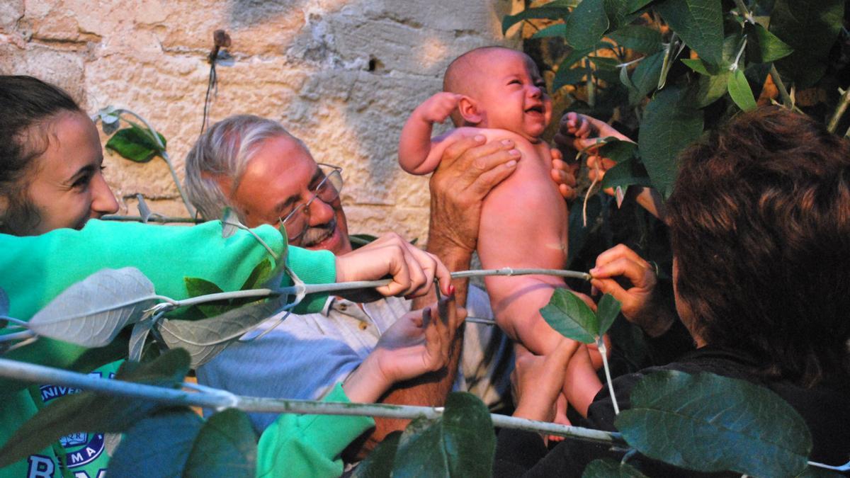La finca del árbol mágico de Manacor en venta: búscate en nuestra galería del 'vimer'