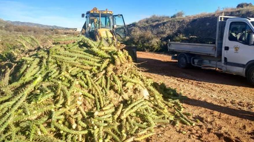 Los trabajos van a continuar a lo largo de esta semana.