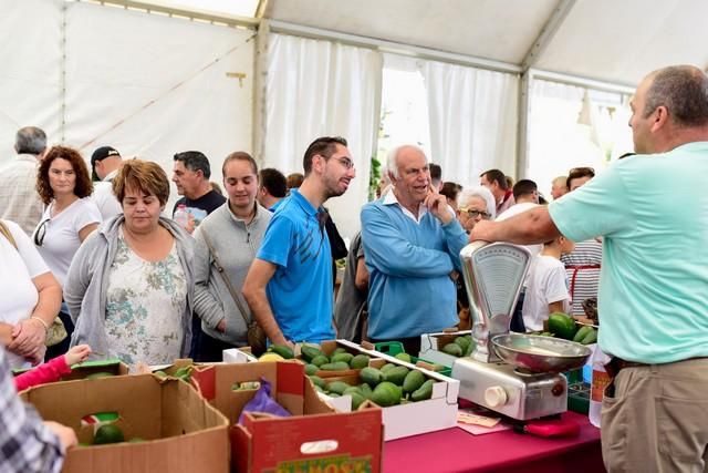 II Feria del Aguacate en Arguineguín