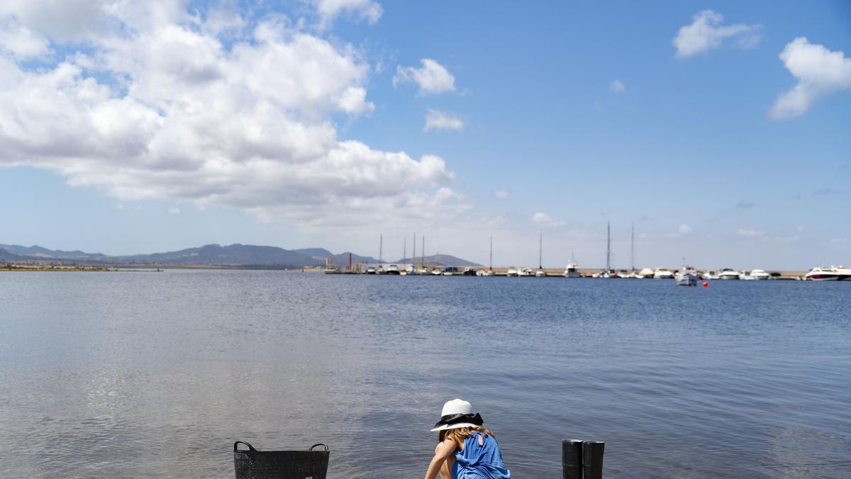 Una niña recoge restos de peces muertos en una playa del Mar Menor.