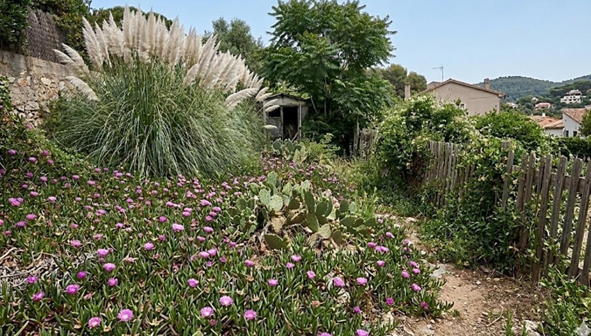 Un jardí amb diverses plantes invasores.