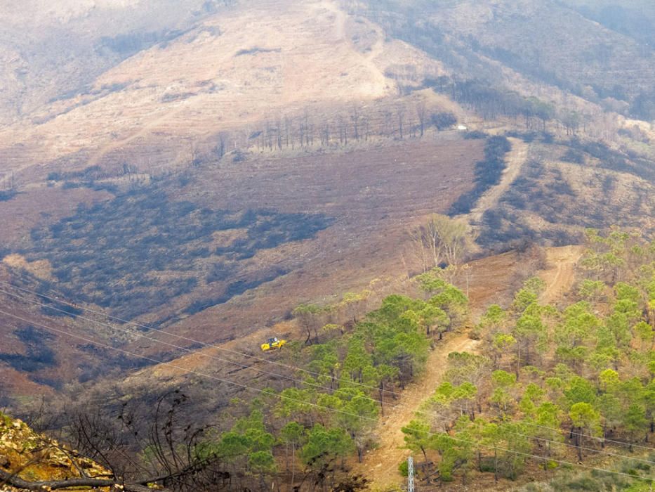 Hace cinco años, un gran incendio afectaba a 8.000 hectáreas de los municipios de Coín, Alhaurín el Grande, Mijas, Marbella, Ojén y Monda. Hoy se trabaja en recuperar las zonas afectadas.