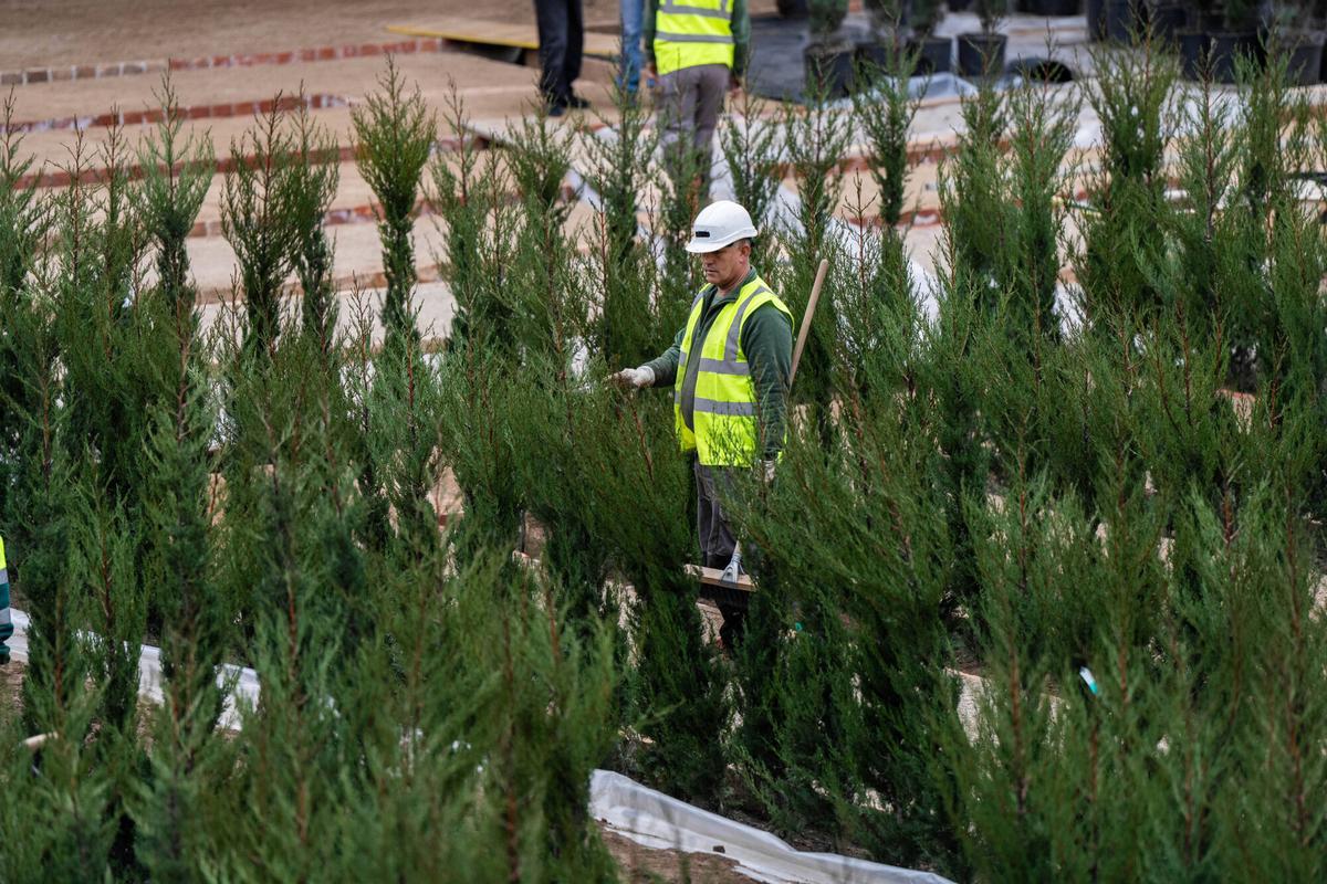Visita exclusiva al Laberint d’Horta, cerrado durante un año por obras de restauración. Ya se están realizando nuevas plantaciones para recuperar sus jardines históricos. Barcelona, 4 de diciembre de 2025.