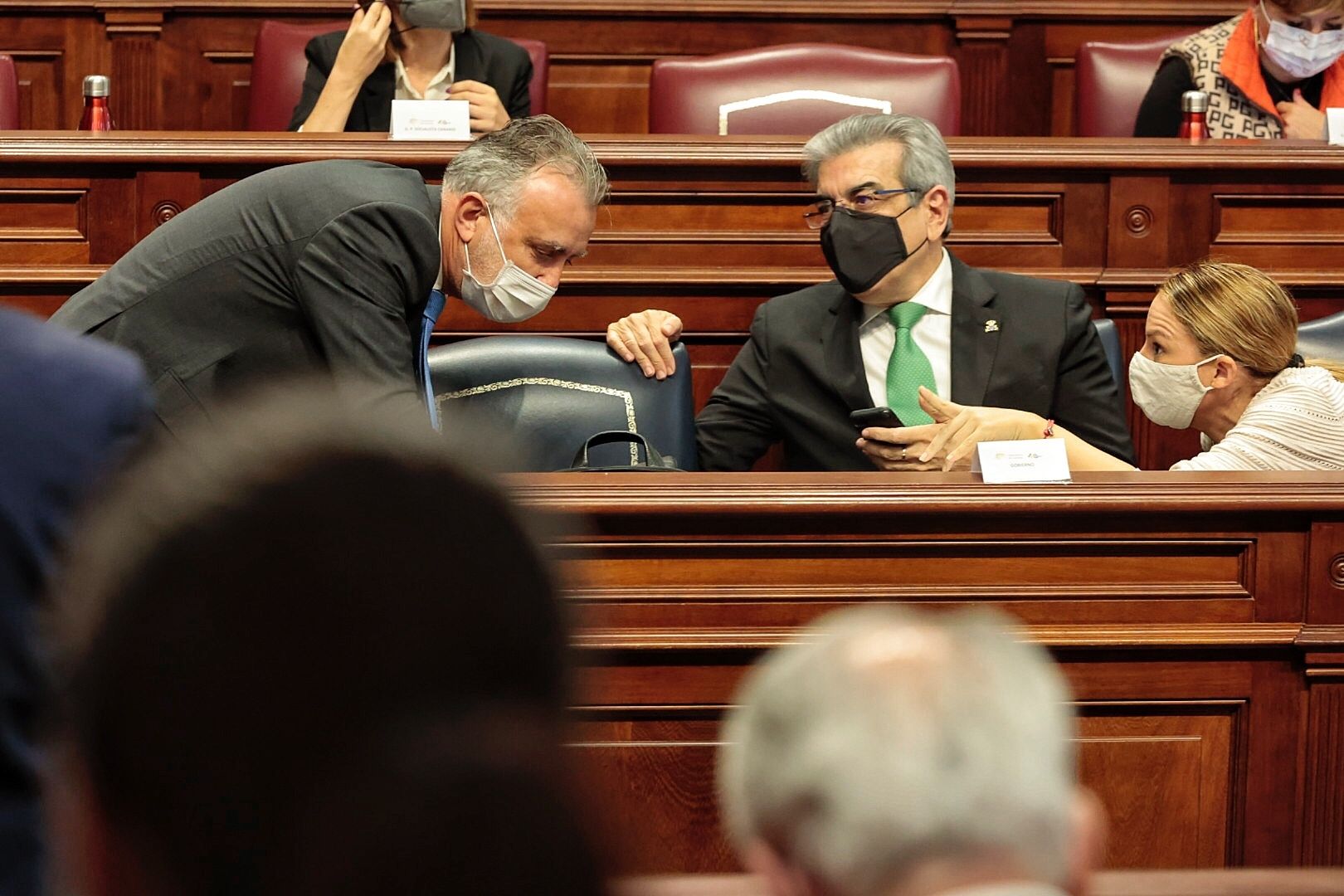 Pleno en el Parlamento de Canarias (23/02/21)