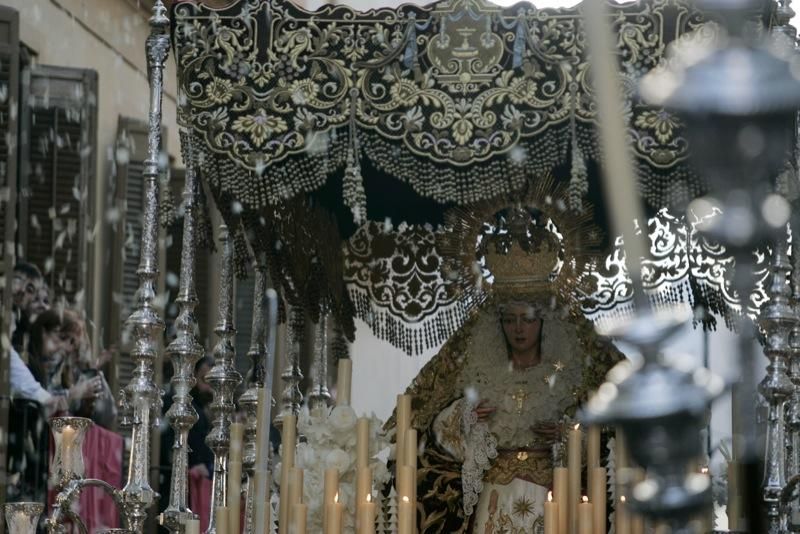 Domingo de Ramos de 2016 | Salud