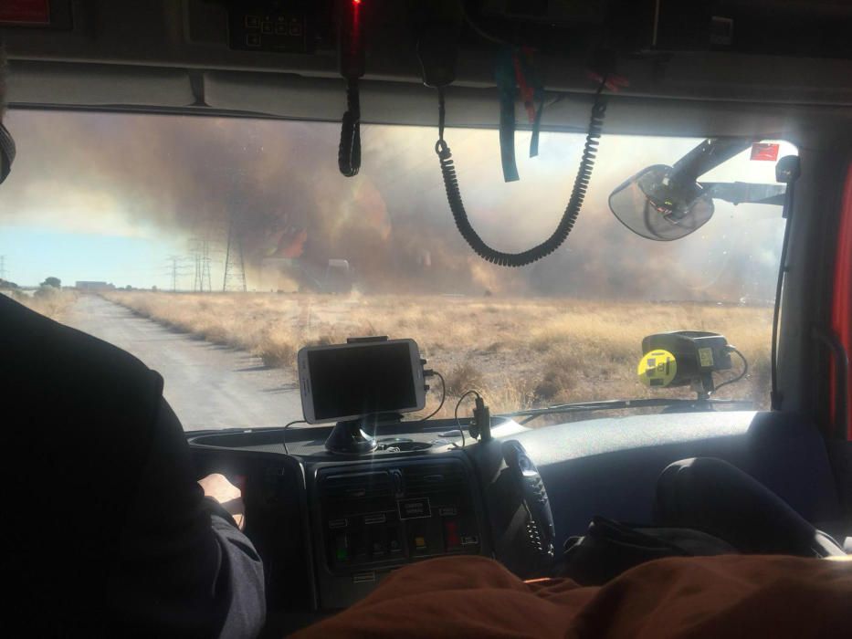 Incendio forestal en el Marjal dels Moros en Sagunt