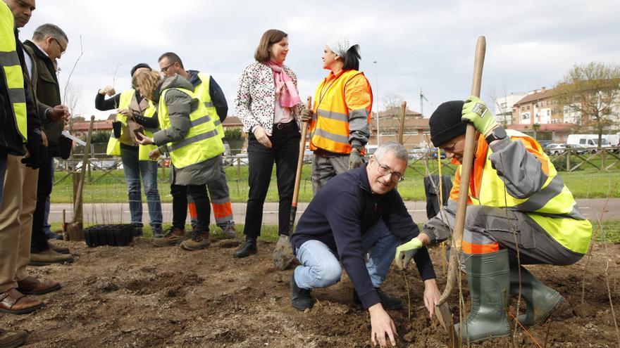 El secretario de Estado Hugo Morán participa en la plantación de minibosques en Gijón (en imágenes)