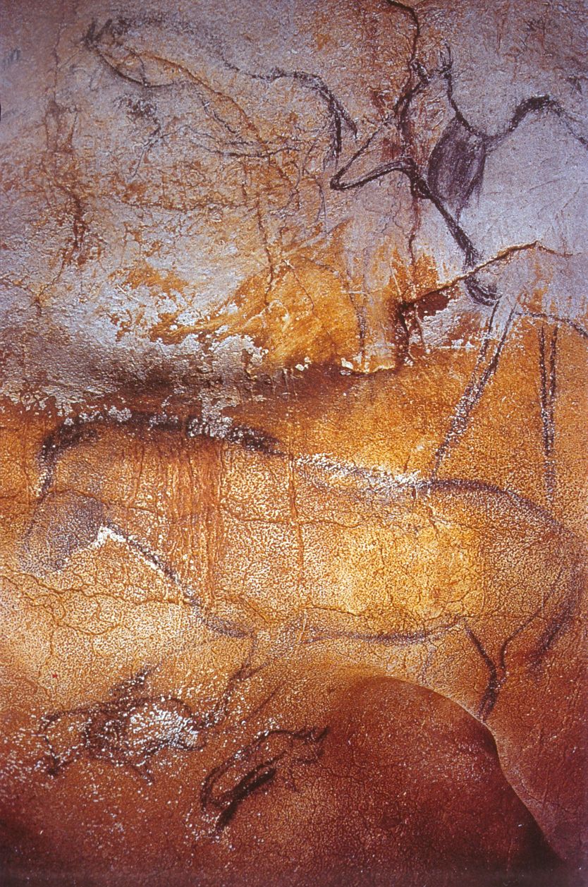 En la cueva se representan diferentes animales como caballos, ciervos y rinocerontes.