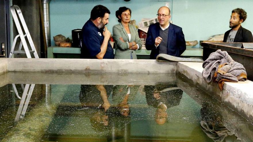 El Museo del Mar restaura cañones de bronce rescatados de varios naufragios gallegos