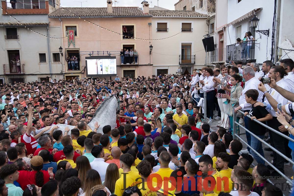 Así ha sido la entrega de premios del concurso morfológico de los Caballos del Vino de Caravaca