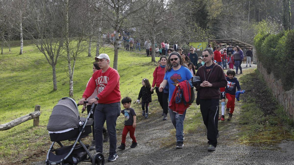 En imágenes: Así fue la reforestación forestal en La Pedrera (Gijón)