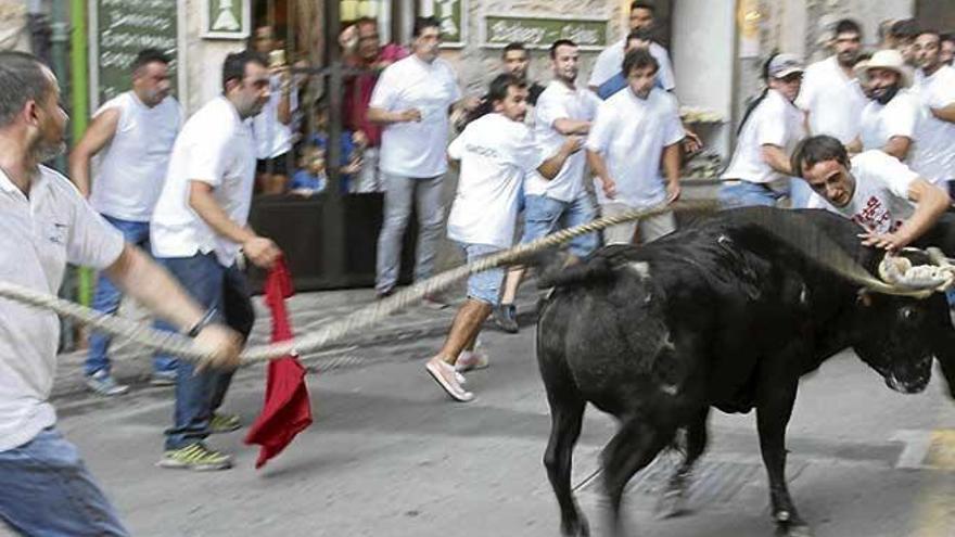 Mallorca Sense Sang: &quot;Ya no habrá más &#039;correbous&#039; en Fornalutx&quot;