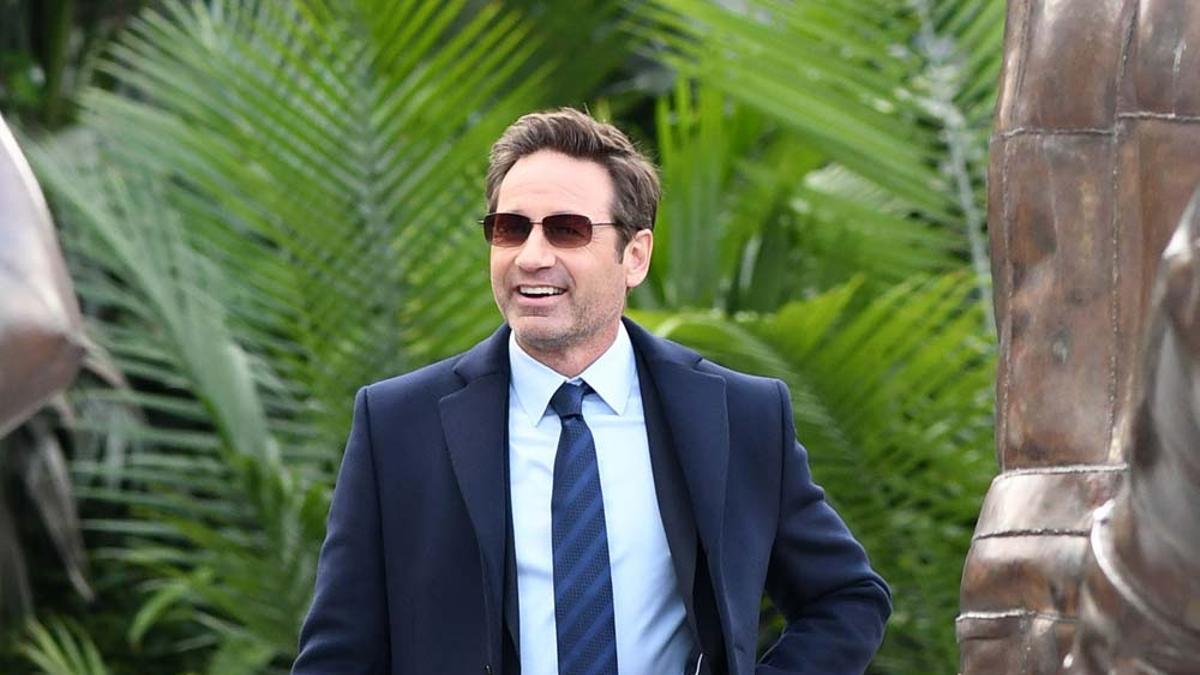 David Duchovny quiere 'Expediente X' para rato