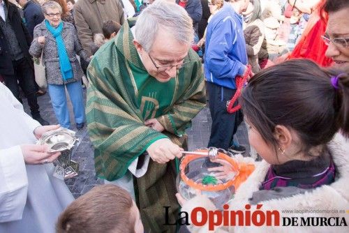 Bendición de animales en Caravaca