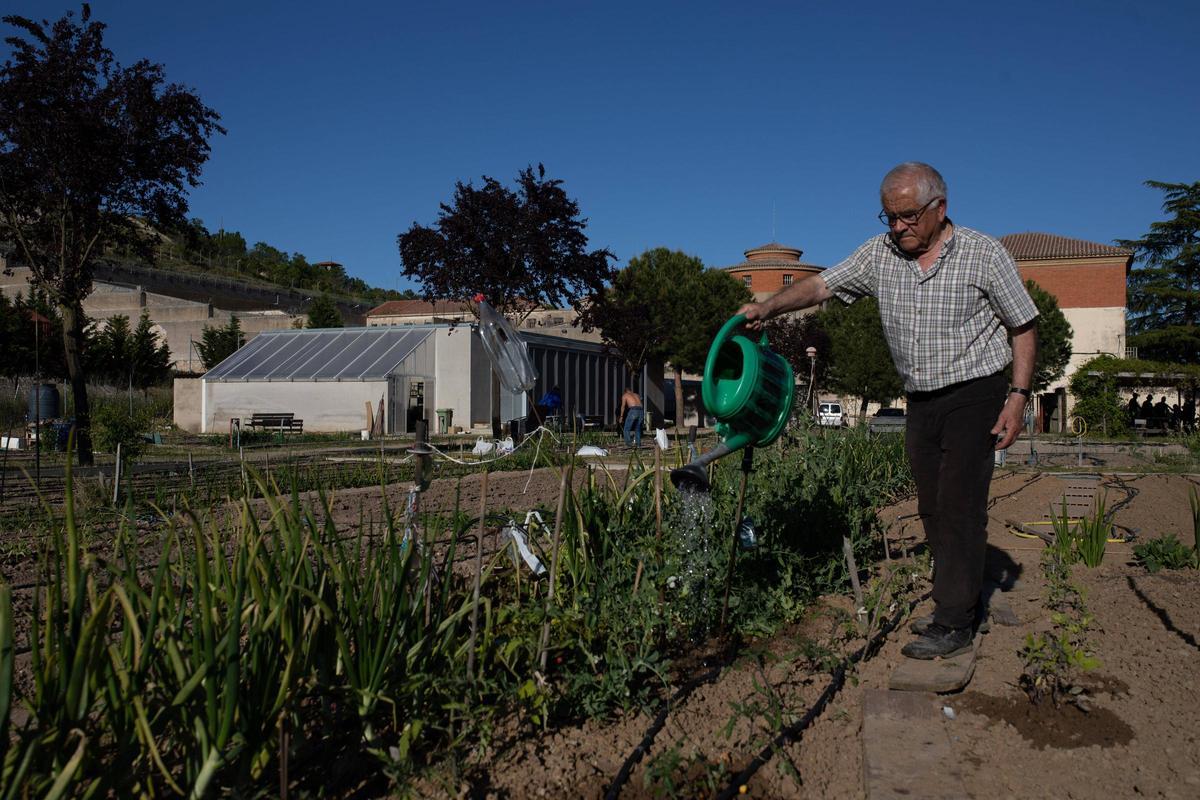 GALERÍA | Huertos municipales en Zamora: Creando comunidad entre tomates y cebollas