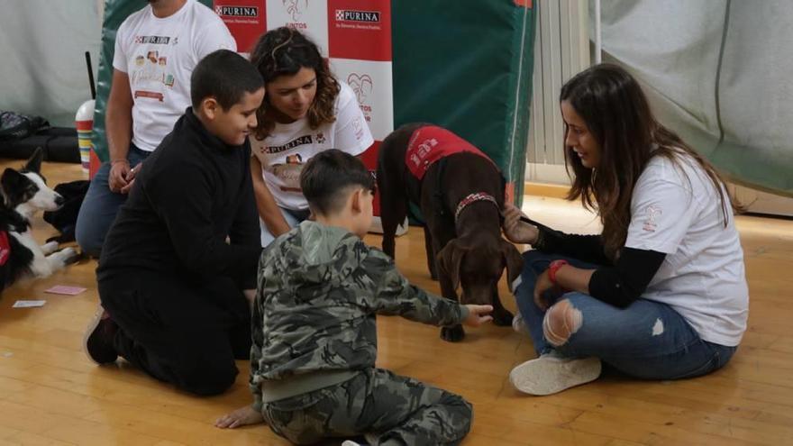 Los perros interactuaron con los niños y sus profesores en una clase muy especial.