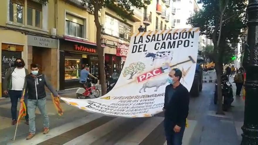 La sonora movilización por las calles de Zaragoza.