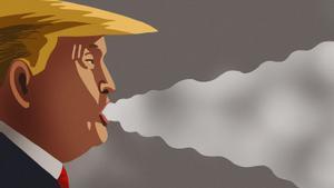 Trump, el gran pertorbador