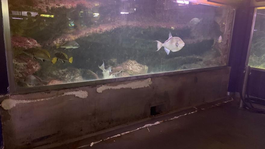 Polémica en Santa Pola por el acuario: un recurso turístico cerrado tres años